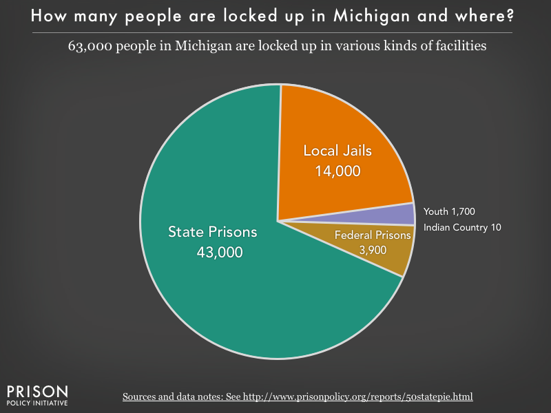 Pie chart showing that 63,000 Michigan residents are locked up in federal prisons, state prisons, local jails and other types of facilities