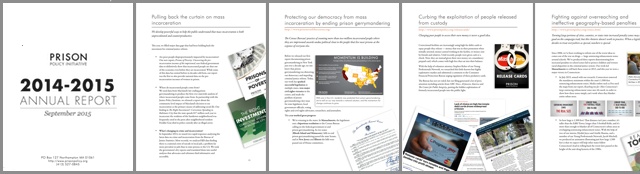 PPI Annual Report 2014-2015 collage