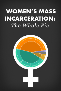 women's pie 2023 report thumbnail