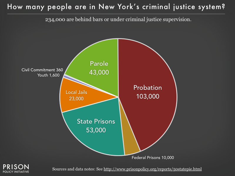 New York Times Pie Chart