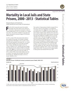 BJS mortality 2000-2013 report thumbnail