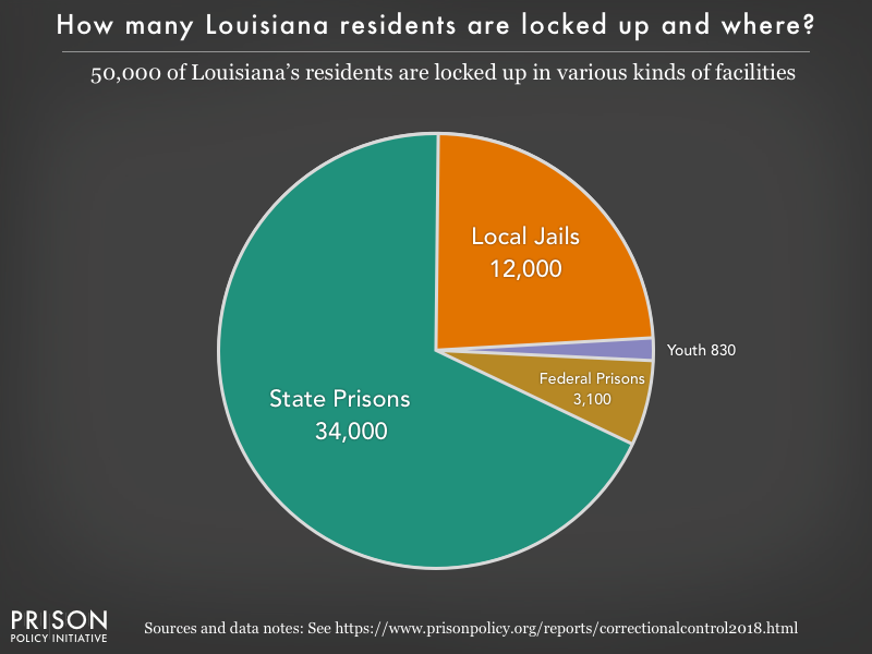 Lsu Ethnic Diversity Pie Chart