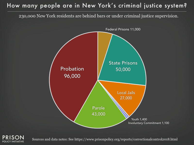 New York Ethnicity Pie Chart