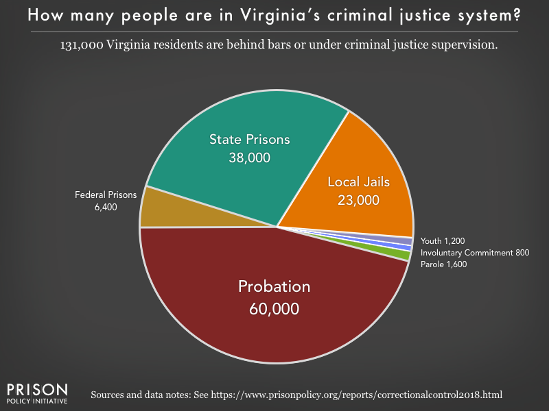 suicide pie chart for usa