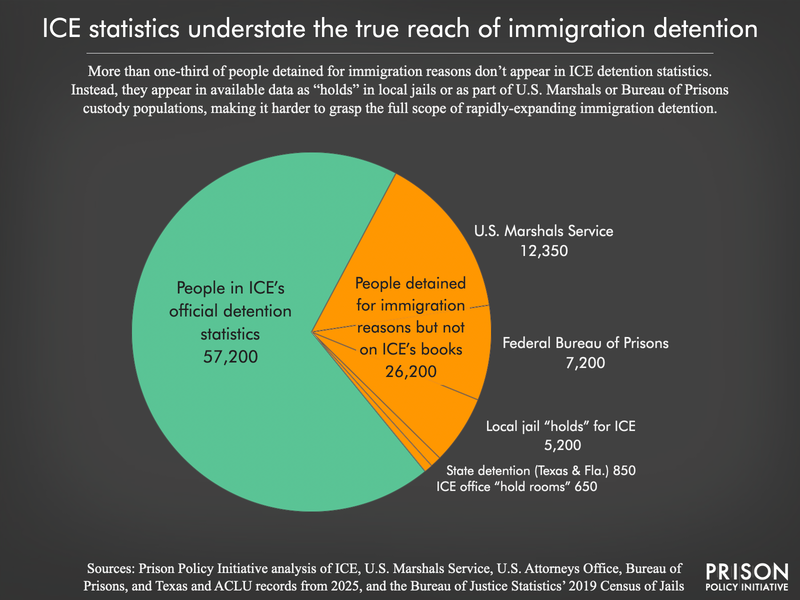 A pie chart showing that more than two-thirds of people detained for immigration reasons don’t appear in ICE detention statistics, but rather as “holds” in local jails or as part of other federal agency custody populations.