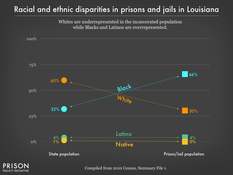 Lsu Ethnic Diversity Pie Chart