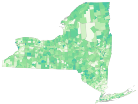 thumbnail of New York census tract map