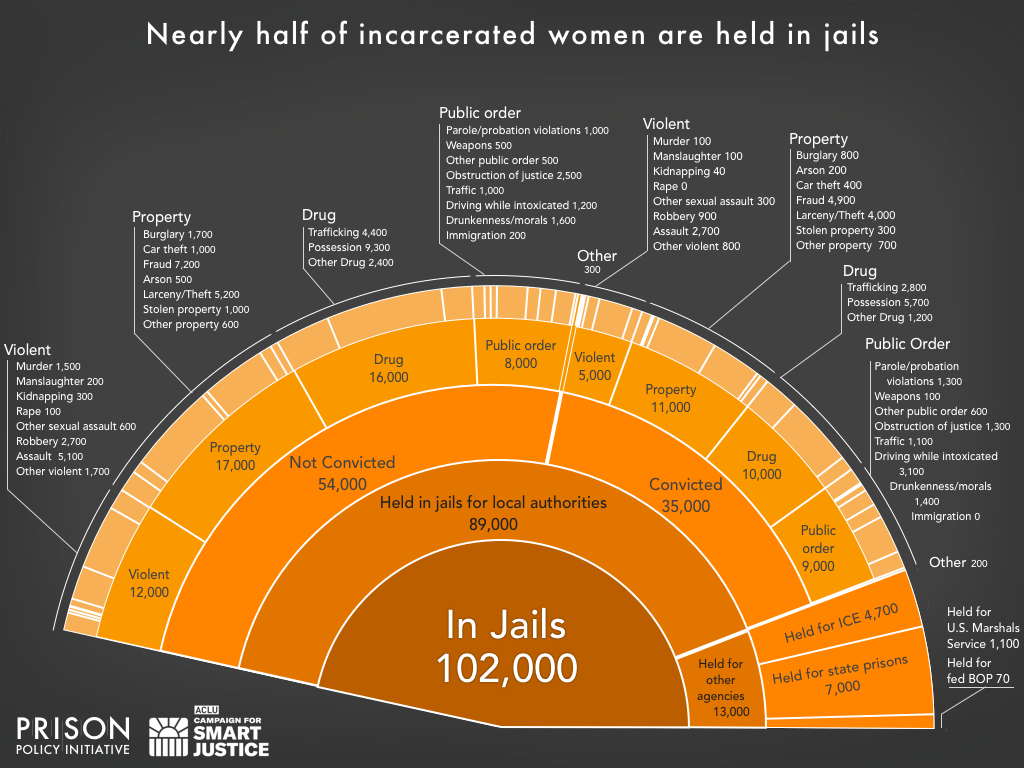 preview of infographic about women in jails