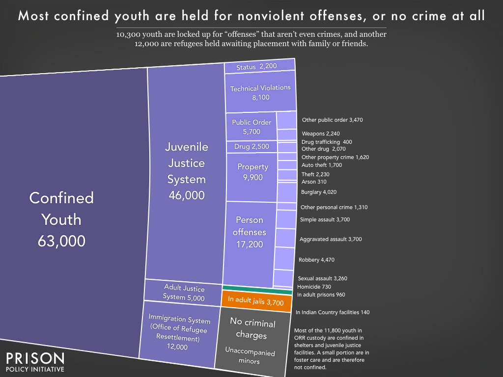 Graph showing the number of youth incarcerated in the United States by offense and whether or not they are incarcerated with adults.