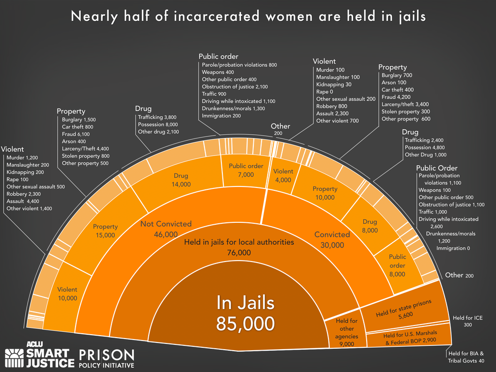 detailed view of the jail slice of the pie chart showing how many women are physically held in jails, for which authorities, and the underlying offenses, using the newest data available in 2023