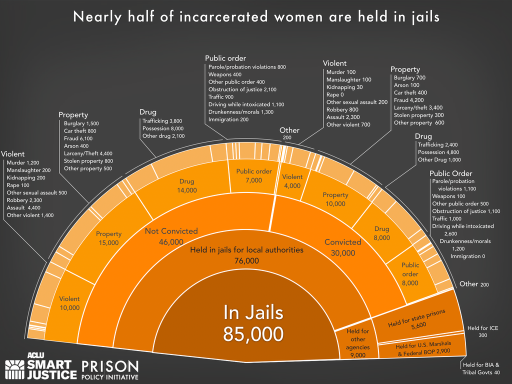 Slice of a pie chart showing that 85,000 are women locked up in jails on a given day in the United States and the underlying offense using the newest data available in 2023