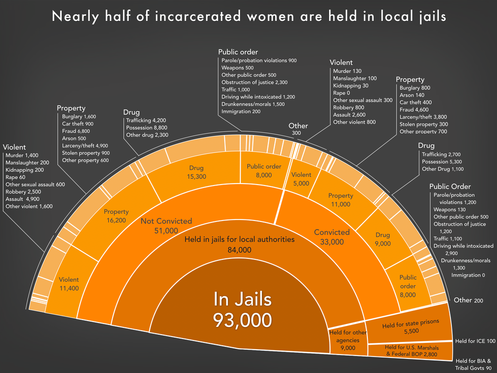 detailed view of the jail slice of the pie chart showing how many women are physically held in jails, for which authorities, and the underlying offenses, using the newest data available in 2024