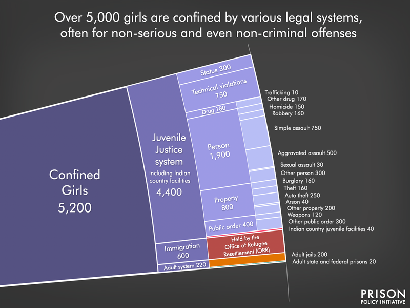 detail image of the youth confinement slice of the womenʻs whole pie showing the offenses for which girls are held in juvenile facilities