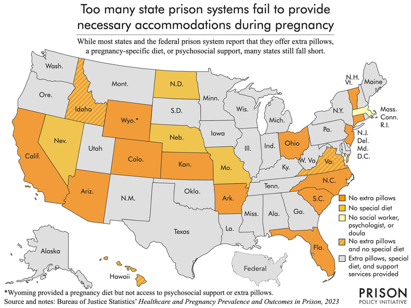 map of the united states highlighting which prison systems fail to provide extra pillow(s), pregnancy-specific diets, or social workers, psychologists, or doulas for pregnant people.