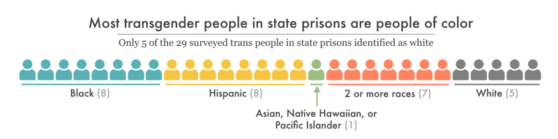 chart showing most of the 29 trans survey respondents are not white