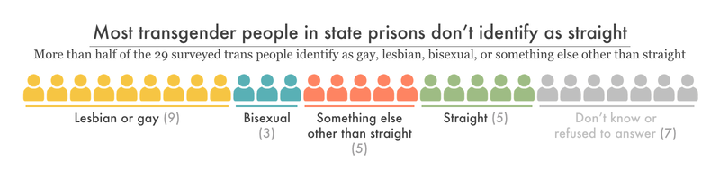 chart showing most of the 29 trans survey respondents are not straight